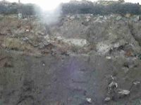 Cronica Cercetărilor Arheologice din România, Campania 2004. Raportul nr. 238, Vaslui<br /><a href='http://foto.cimec.ro/cronica/2004/238/rsz-16.jpg' target=_blank>Priveşte aceeaşi imagine într-o fereastră nouă</a>