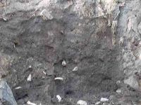 Cronica Cercetărilor Arheologice din România, Campania 2004. Raportul nr. 238, Vaslui<br /><a href='http://foto.cimec.ro/cronica/2004/238/rsz-18.jpg' target=_blank>Priveşte aceeaşi imagine într-o fereastră nouă</a>