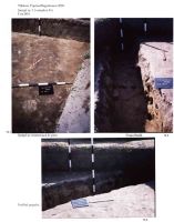 Chronicle of the Archaeological Excavations in Romania, 2004 Campaign. Report no. 244, Vlădeni, Popina Blagodeasca.<br /> Sector Figuri-raport.<br /><a href='http://foto.cimec.ro/cronica/2004/244/rsz-13.jpg' target=_blank>Display the same picture in a new window</a>