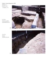 Chronicle of the Archaeological Excavations in Romania, 2004 Campaign. Report no. 244, Vlădeni, Popina Blagodeasca.<br /> Sector Figuri-raport.<br /><a href='http://foto.cimec.ro/cronica/2004/244/rsz-14.jpg' target=_blank>Display the same picture in a new window</a>