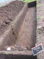 Chronicle of the Archaeological Excavations in Romania, 2005 Campaign. Report no. 24, Alba Iulia, str. Lăcrănjan<br /><a href='http://foto.cimec.ro/cronica/2005/024/rsz-2.jpg' target=_blank>Display the same picture in a new window</a>
