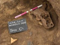 Chronicle of the Archaeological Excavations in Romania, 2005 Campaign. Report no. 26, Alba Iulia, Întreprinderea Monolit (La Recea/ Dealul Furcilor)<br /><a href='http://foto.cimec.ro/cronica/2005/026/rsz-0.jpg' target=_blank>Display the same picture in a new window</a>