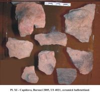 Chronicle of the Archaeological Excavations in Romania, 2005 Campaign. Report no. 50, Capidava, La Grajduri.<br /> Sector 06-ilustratie-sector-X.<br /><a href='http://foto.cimec.ro/cronica/2005/050/rsz-11.jpg' target=_blank>Display the same picture in a new window</a>