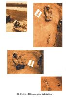 Chronicle of the Archaeological Excavations in Romania, 2005 Campaign. Report no. 50, Capidava, Cetate<br /><a href='http://foto.cimec.ro/cronica/2005/050/rsz-2.jpg' target=_blank>Display the same picture in a new window</a>