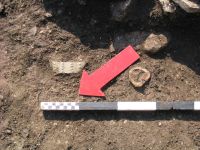 Chronicle of the Archaeological Excavations in Romania, 2005 Campaign. Report no. 67, Craiva, Piatra Craivii<br /><a href='http://foto.cimec.ro/cronica/2005/067/rsz-5.jpg' target=_blank>Display the same picture in a new window</a>