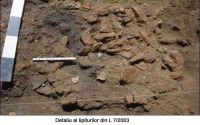 Cronica Cercetărilor Arheologice din România, Campania 2005. Raportul nr. 76, Feteşti, La Schit<br /><a href='http://foto.cimec.ro/cronica/2005/076/rsz-4.jpg' target=_blank>Priveşte aceeaşi imagine într-o fereastră nouă</a>