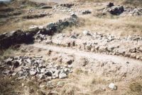Cronica Cercetărilor Arheologice din România, Campania 2005. Raportul nr. 80
