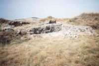 Cronica Cercetărilor Arheologice din România, Campania 2005. Raportul nr. 80, Garvăn, Bisericuţa (Bisericuţa)<br /><a href='http://foto.cimec.ro/cronica/2005/080/rsz-3.jpg' target=_blank>Priveşte aceeaşi imagine într-o fereastră nouă</a>
