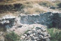 Cronica Cercetărilor Arheologice din România, Campania 2005. Raportul nr. 80