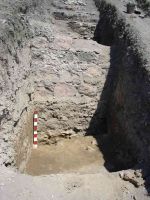 Cronica Cercetărilor Arheologice din România, Campania 2005. Raportul nr. 96