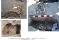 Cronica Cercetărilor Arheologice din România, Campania 2005. Raportul nr. 96