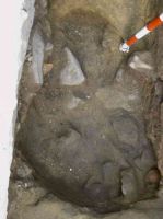 Cronica Cercetărilor Arheologice din România, Campania 2005. Raportul nr. 96, Isaccea, La Pontonul Vechi (Cetate, Eski-kale).<br /> Sectorul planse-IMDA.<br /><a href='http://foto.cimec.ro/cronica/2005/096/rsz-5.jpg' target=_blank>Priveşte aceeaşi imagine într-o fereastră nouă</a>