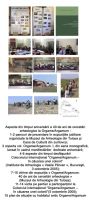 Chronicle of the Archaeological Excavations in Romania, 2005 Campaign. Report no. 101, Jurilovca, Capul Dolojman.<br /> Sector 02-poze-sector-central.<br /><a href='http://foto.cimec.ro/cronica/2005/101/rsz-6.jpg' target=_blank>Display the same picture in a new window</a>