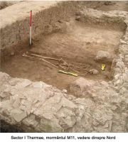 Chronicle of the Archaeological Excavations in Romania, 2005 Campaign. Report no. 130, Ostrov, Ferma 4 (Regie)<br /><a href='http://foto.cimec.ro/cronica/2005/130/rsz-3.jpg' target=_blank>Display the same picture in a new window</a>