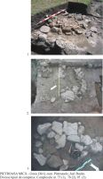 Cronica Cercetărilor Arheologice din România, Campania 2005. Raportul nr. 141