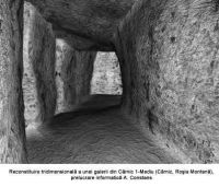 Cronica Cercetărilor Arheologice din România, Campania 2005. Raportul nr. 156