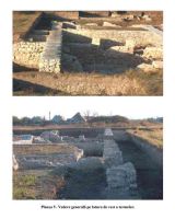 Cronica Cercetărilor Arheologice din România, Campania 2005. Raportul nr. 202