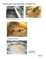 Chronicle of the Archaeological Excavations in Romania, 2005 Campaign. Report no. 217, Vlădeni, Popina Blagodeasca.<br /> Sector Figuri-raport.<br /><a href='http://foto.cimec.ro/cronica/2005/217/rsz-0.jpg' target=_blank>Display the same picture in a new window</a>