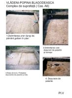 Chronicle of the Archaeological Excavations in Romania, 2005 Campaign. Report no. 217, Vlădeni, Popina Blagodeasca.<br /> Sector Figuri-raport.<br /><a href='http://foto.cimec.ro/cronica/2005/217/rsz-5.jpg' target=_blank>Display the same picture in a new window</a>