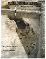Chronicle of the Archaeological Excavations in Romania, 2005 Campaign. Report no. 217, Vlădeni, Popina Blagodeasca.<br /> Sector Figuri-raport.<br /><a href='http://foto.cimec.ro/cronica/2005/217/rsz-7.jpg' target=_blank>Display the same picture in a new window</a>