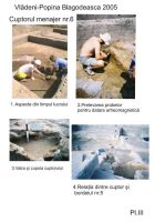 Chronicle of the Archaeological Excavations in Romania, 2005 Campaign. Report no. 217, Vlădeni, Popina Blagodeasca.<br /> Sector Figuri-raport.<br /><a href='http://foto.cimec.ro/cronica/2005/217/rsz-8.jpg' target=_blank>Display the same picture in a new window</a>
