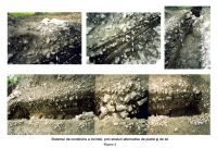 Cronica Cercetărilor Arheologice din România, Campania 2006. Raportul nr. 31