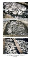 Cronica Cercetărilor Arheologice din România, Campania 2006. Raportul nr. 31
