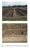 Cronica Cercetărilor Arheologice din România, Campania 2006. Raportul nr. 42