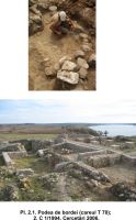 Cronica Cercetărilor Arheologice din România, Campania 2006. Raportul nr. 49