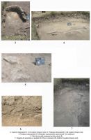 Chronicle of the Archaeological Excavations in Romania, 2006 Campaign. Report no. 66, Corabia, Celei<br /><a href='http://foto.cimec.ro/cronica/2006/066/rsz-1.jpg' target=_blank>Display the same picture in a new window</a>