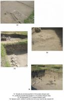 Chronicle of the Archaeological Excavations in Romania, 2006 Campaign. Report no. 66, Corabia, Celei<br /><a href='http://foto.cimec.ro/cronica/2006/066/rsz-3.jpg' target=_blank>Display the same picture in a new window</a>