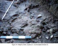 Cronica Cercetărilor Arheologice din România, Campania 2006. Raportul nr. 80