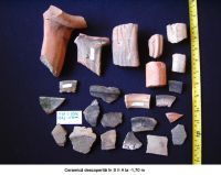Chronicle of the Archaeological Excavations in Romania, 2006 Campaign. Report no. 93, Hârşova, Tell<br /><a href='http://foto.cimec.ro/cronica/2006/093/rsz-1.jpg' target=_blank>Display the same picture in a new window</a>