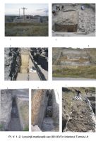 Cronica Cercetărilor Arheologice din România, Campania 2006. Raportul nr. 99