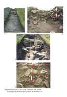 Cronica Cercetărilor Arheologice din România, Campania 2006. Raportul nr. 141, Pietroasa Mică, Gruiu Dării<br /><a href='http://foto.cimec.ro/cronica/2006/141/rsz-0.jpg' target=_blank>Priveşte aceeaşi imagine într-o fereastră nouă</a>