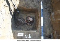 Chronicle of the Archaeological Excavations in Romania, 2006 Campaign. Report no. 159, Satu Mare, Piaţa de vechituri<br /><a href='http://foto.cimec.ro/cronica/2006/159/rsz-5.jpg' target=_blank>Display the same picture in a new window</a>