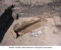 Chronicle of the Archaeological Excavations in Romania, 2006 Campaign. Report no. 183, Şeuşa, Gorgan<br /><a href='http://foto.cimec.ro/cronica/2006/183/rsz-1.jpg' target=_blank>Display the same picture in a new window</a>