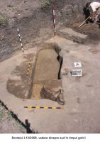 Chronicle of the Archaeological Excavations in Romania, 2006 Campaign. Report no. 183, Şeuşa, Gorgan<br /><a href='http://foto.cimec.ro/cronica/2006/183/rsz-2.jpg' target=_blank>Display the same picture in a new window</a>