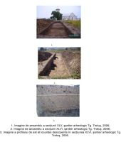 Cronica Cercetărilor Arheologice din România, Campania 2006. Raportul nr. 191