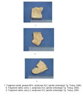 Chronicle of the Archaeological Excavations in Romania, 2006 Campaign. Report no. 191, Târgu Trotuş<br /><a href='http://foto.cimec.ro/cronica/2006/191/rsz-2.jpg' target=_blank>Display the same picture in a new window</a>