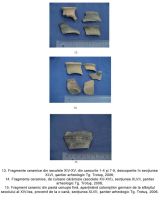 Cronica Cercetărilor Arheologice din România, Campania 2006. Raportul nr. 191