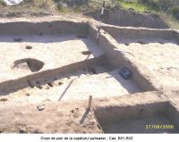 Chronicle of the Archaeological Excavations in Romania, 2006 Campaign. Report no. 207, Vlădeni, Coasta Belciugului<br /><a href='http://foto.cimec.ro/cronica/2006/207/rsz-1.jpg' target=_blank>Display the same picture in a new window</a>
