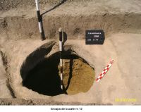 Chronicle of the Archaeological Excavations in Romania, 2006 Campaign. Report no. 207, Vlădeni, Coasta Belciugului<br /><a href='http://foto.cimec.ro/cronica/2006/207/rsz-14.jpg' target=_blank>Display the same picture in a new window</a>