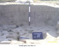 Chronicle of the Archaeological Excavations in Romania, 2006 Campaign. Report no. 207, Vlădeni, Coasta Belciugului<br /><a href='http://foto.cimec.ro/cronica/2006/207/rsz-18.jpg' target=_blank>Display the same picture in a new window</a>