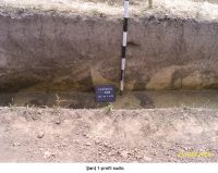 Chronicle of the Archaeological Excavations in Romania, 2006 Campaign. Report no. 207, Vlădeni, Coasta Belciugului<br /><a href='http://foto.cimec.ro/cronica/2006/207/rsz-8.jpg' target=_blank>Display the same picture in a new window</a>