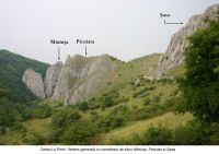 Chronicle of the Archaeological Excavations in Romania, 2006 Campaign. Report no. 209, Cetea, La Pietri<br /><a href='http://foto.cimec.ro/cronica/2006/209/rsz-0.jpg' target=_blank>Display the same picture in a new window</a>
