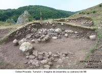 Chronicle of the Archaeological Excavations in Romania, 2006 Campaign. Report no. 209, Cetea, Pietri<br /><a href='http://foto.cimec.ro/cronica/2006/209/rsz-10.jpg' target=_blank>Display the same picture in a new window</a>