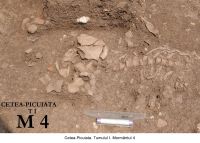 Chronicle of the Archaeological Excavations in Romania, 2006 Campaign. Report no. 209, Cetea, La Pietri<br /><a href='http://foto.cimec.ro/cronica/2006/209/rsz-2.jpg' target=_blank>Display the same picture in a new window</a>