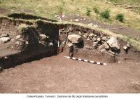 Chronicle of the Archaeological Excavations in Romania, 2006 Campaign. Report no. 209, Cetea, La Pietri<br /><a href='http://foto.cimec.ro/cronica/2006/209/rsz-6.jpg' target=_blank>Display the same picture in a new window</a>
