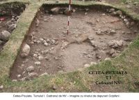 Chronicle of the Archaeological Excavations in Romania, 2006 Campaign. Report no. 209, Cetea, Pietri<br /><a href='http://foto.cimec.ro/cronica/2006/209/rsz-7.jpg' target=_blank>Display the same picture in a new window</a>
